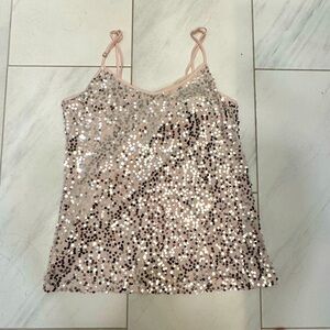 Boston Proper Silver/Beige Pink Sequin Tank Top Size Medium